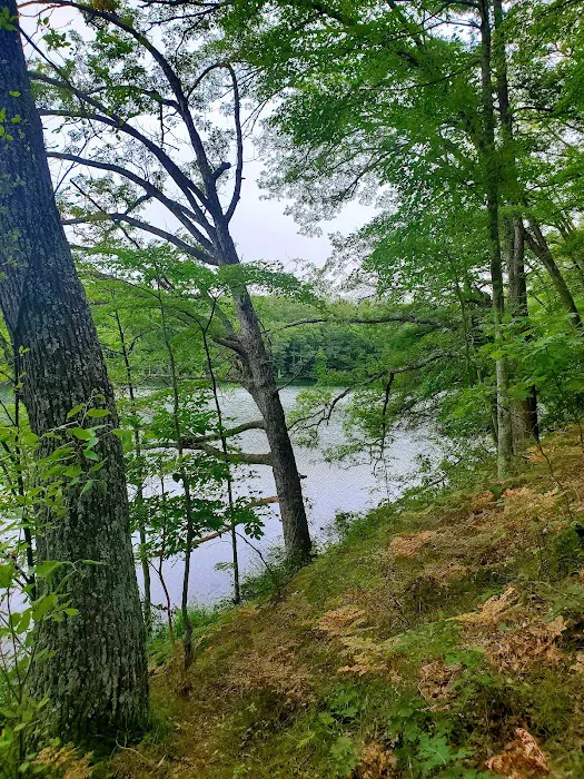 Condon Lakes West Picture 4
