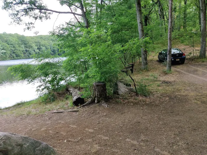 Condon Lakes West Picture 8