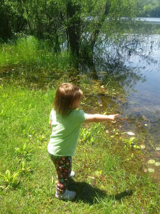Highbank Lake Campground Picture 10