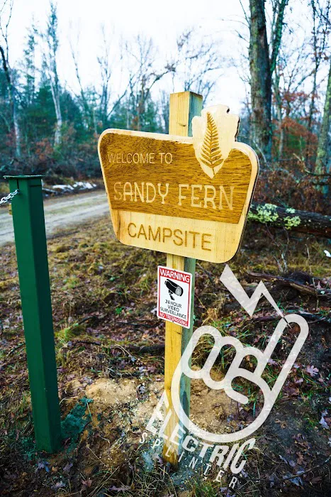 Sandy Fern Campsite Picture 3