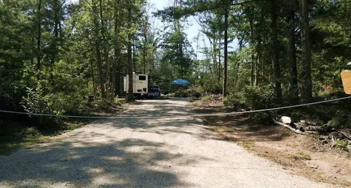 Sandy Fern Campsite Picture 7