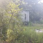 Sam Miness Rentals