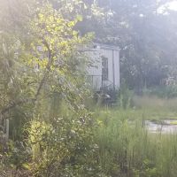 Sam Miness Rentals ico