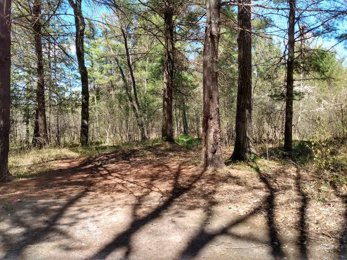 Leverentz Lake State Forest Campground Picture 2