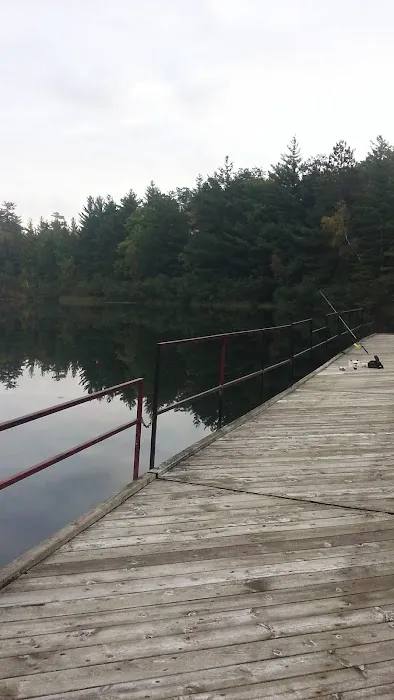 Leverentz Lake State Forest Campground Picture 8