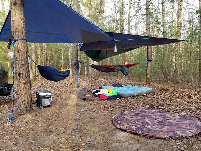 Leverentz Lake State Forest Campground Picture 10
