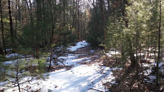 Bray Creek State Forest Campground Picture 6