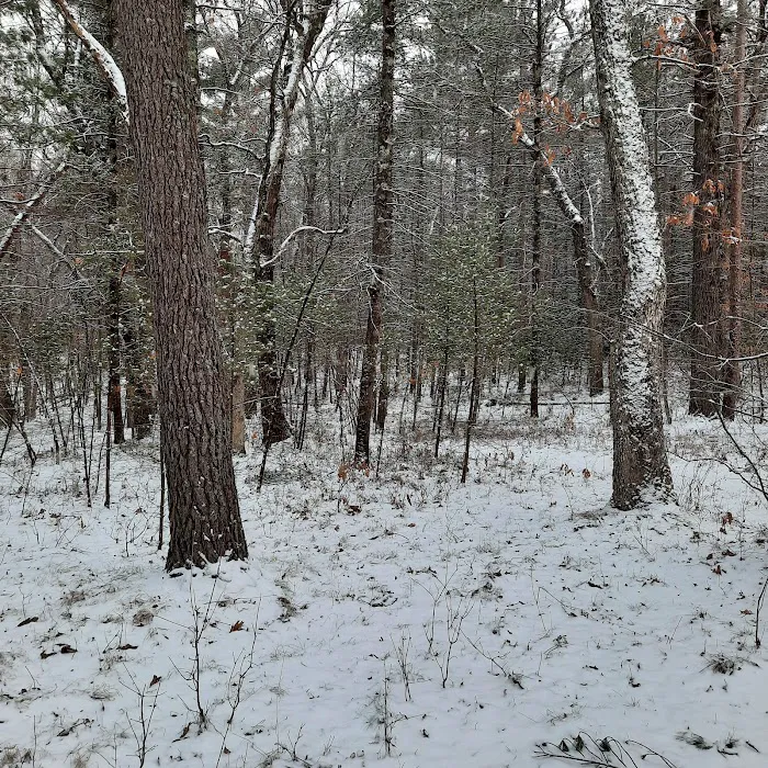 Bray Creek State Forest Campground Picture 7