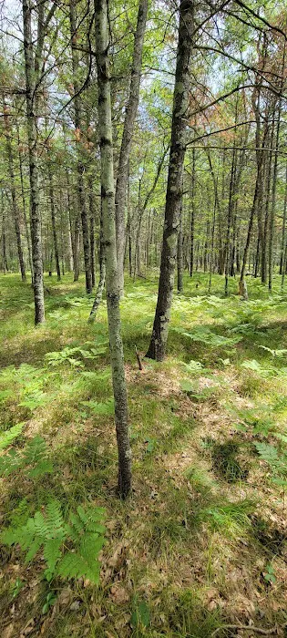 Claybanks Campground Picture 4