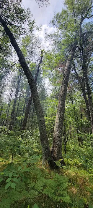 Claybanks Campground Picture 8