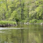 Bowman Bridge River Access