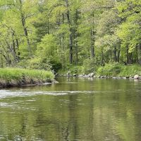 Bowman Bridge River Access ico
