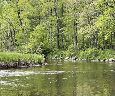 Bowman Bridge River Access