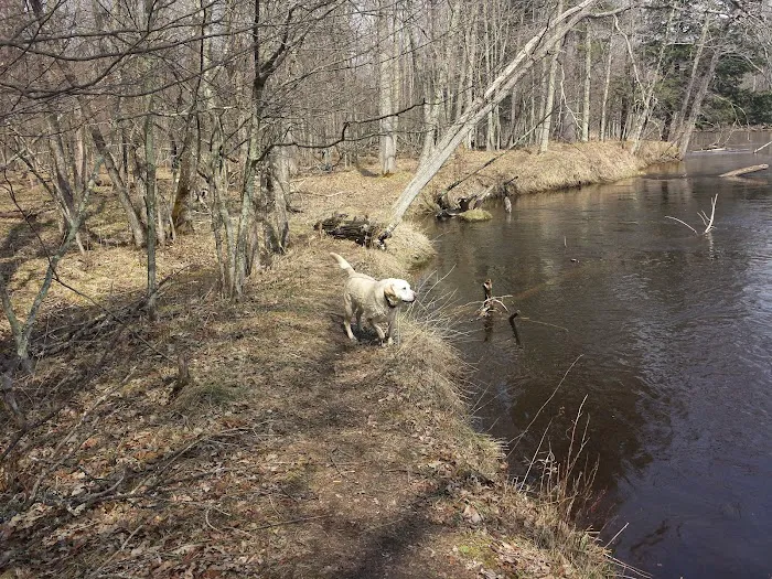 Bowman Bridge River Access Picture 4