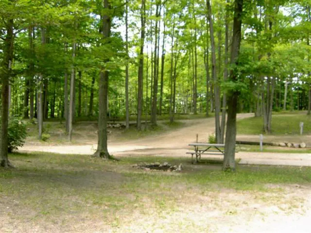 Cadillac Woods Campground Picture 1