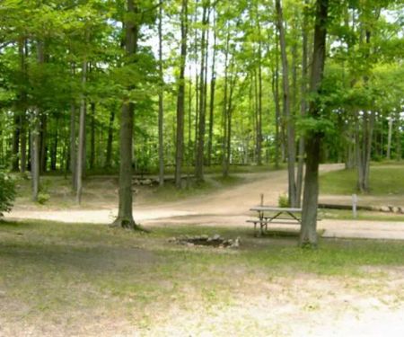 Cadillac Woods Campground