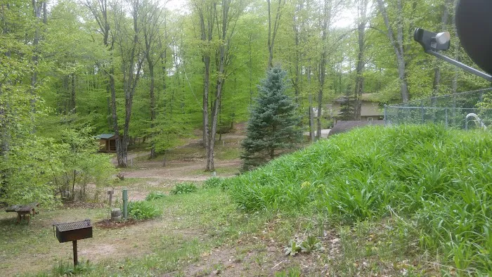Cadillac Woods Campground Picture 8