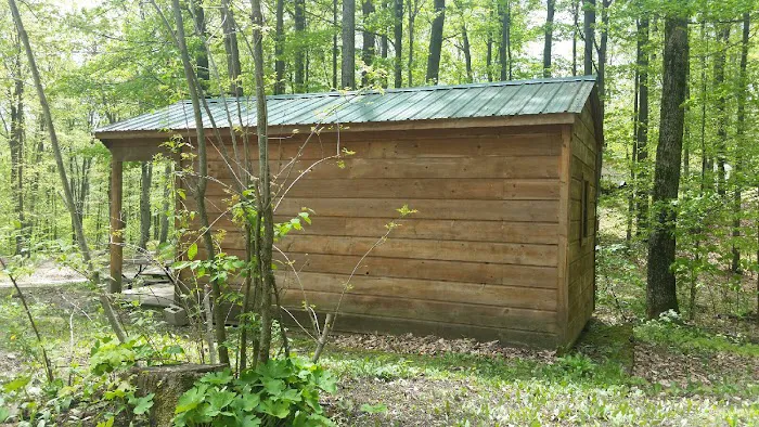 Cadillac Woods Campground Picture 7