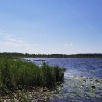 Hemlock Campground ico