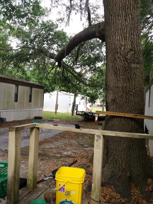 Livingston Properties Picture 7