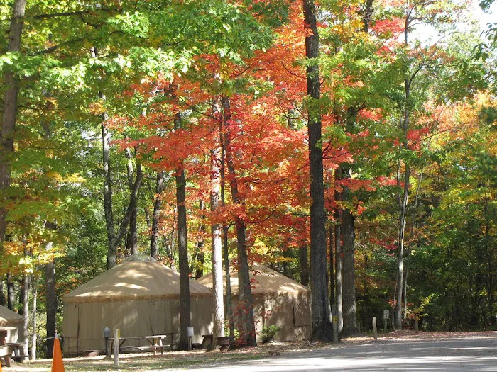 The Higgins Lake Campground Picture 6
