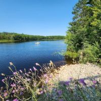 Reedsburg Dam State Forest Campground ico