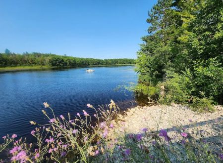 Reedsburg Dam State Forest Campground