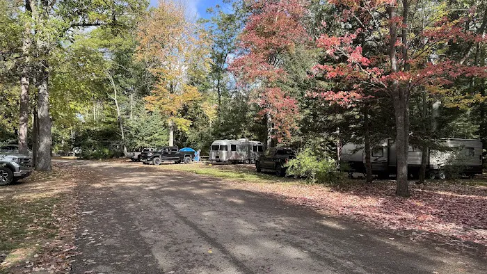 Higgins Lake State Park West Campground Picture 1