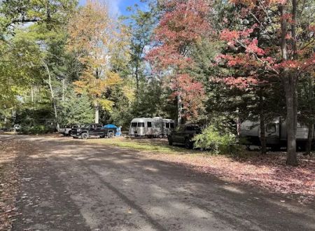 Higgins Lake State Park West Campground