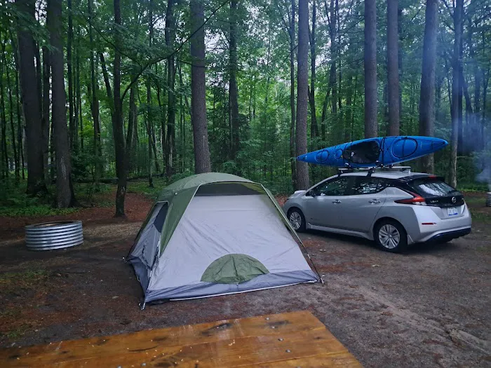 Higgins Lake State Park West Campground Picture 3