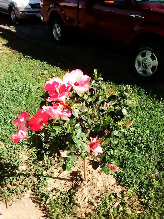 Southwood Pointe Mobile Home Park Picture 1