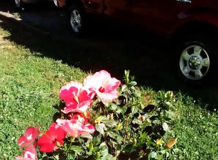 Southwood Pointe Mobile Home Park