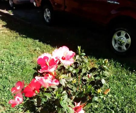 Southwood Pointe Mobile Home Park