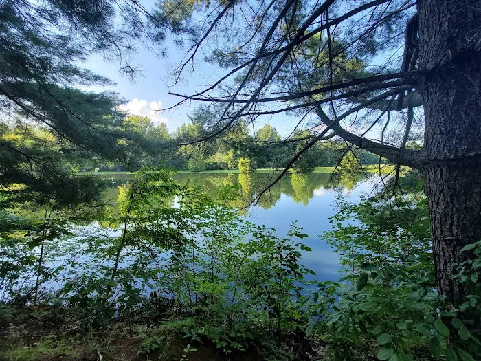 Fern Lake Campground Picture 6
