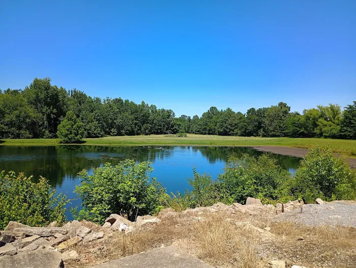 Fern Lake Campground Picture 4