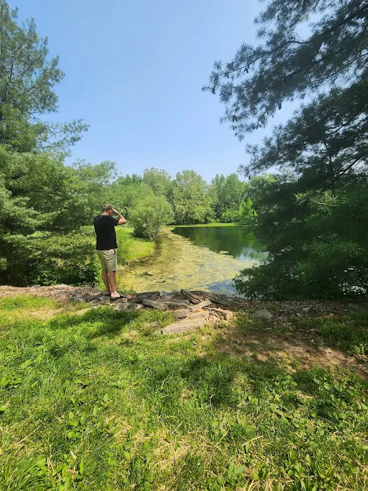 Fern Lake Campground Picture 9
