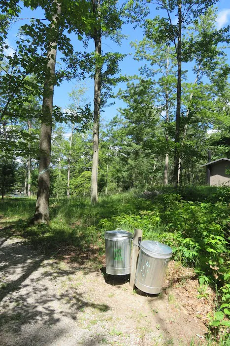 Island Lake Campground Picture 5