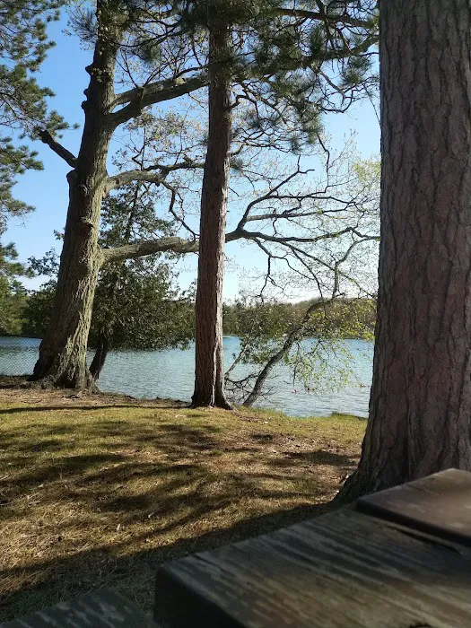 Island Lake Campground Picture 9