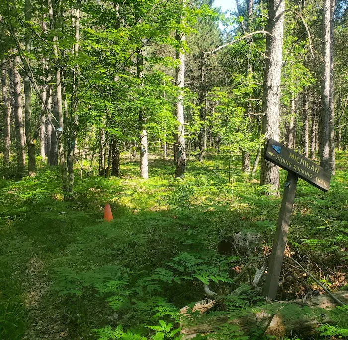 Luzerne Trail Camp Picture 3