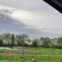 Westridge Pointe Mobile Home Park ico