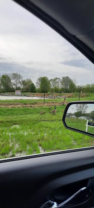 Westridge Pointe Mobile Home Park Picture 10