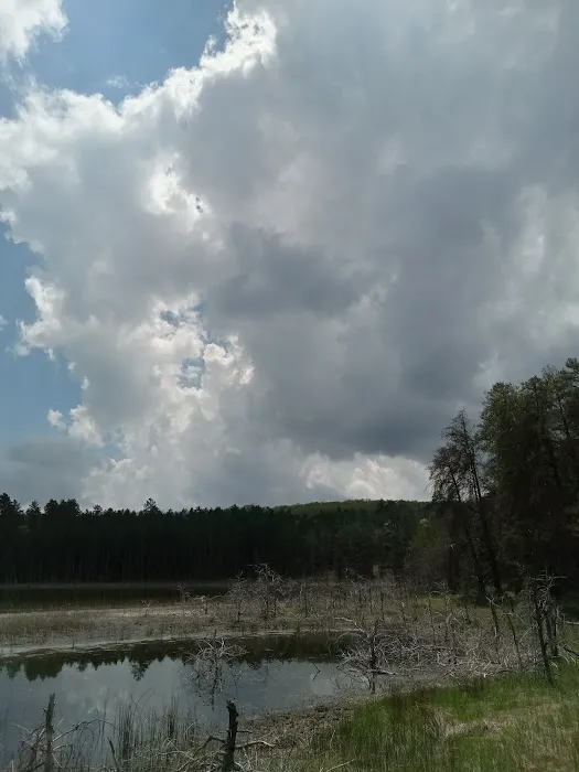Wagner Lake Campground Picture 9