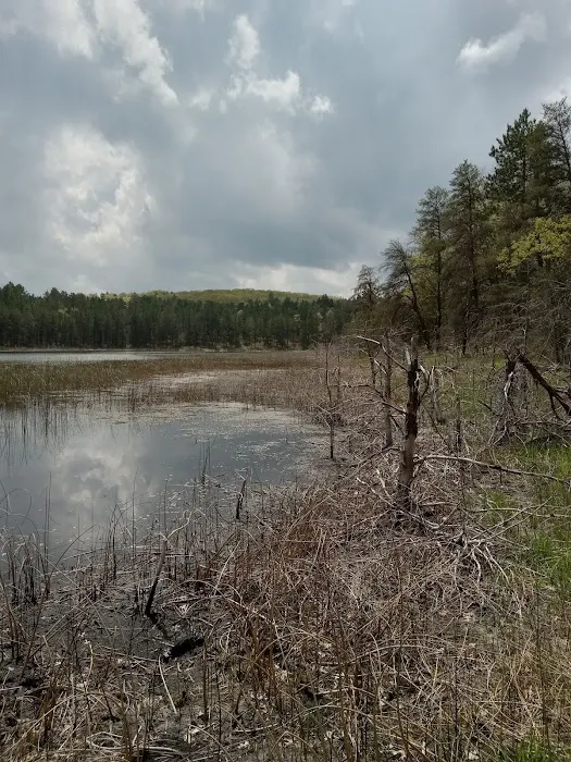 Wagner Lake Campground Picture 4