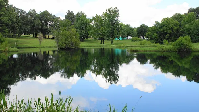 Kentucky Lake Resort and RV Park Picture 5