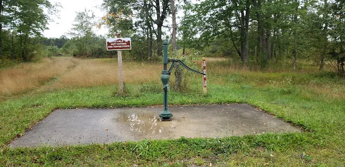 4 Mile State Forest Trail Camp Picture 1