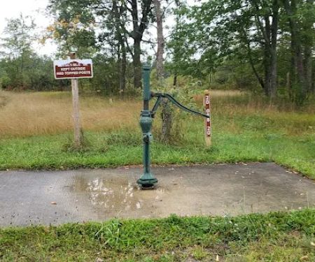 4 Mile State Forest Trail Camp
