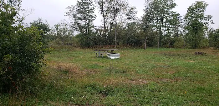 4 Mile State Forest Trail Camp Picture 5