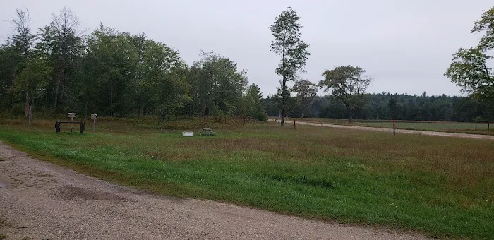 4 Mile State Forest Trail Camp Picture 4