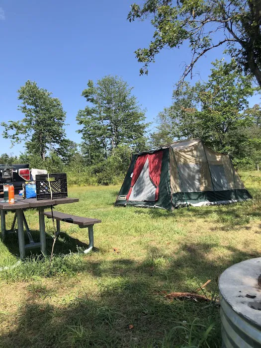4 Mile State Forest Trail Camp Picture 7