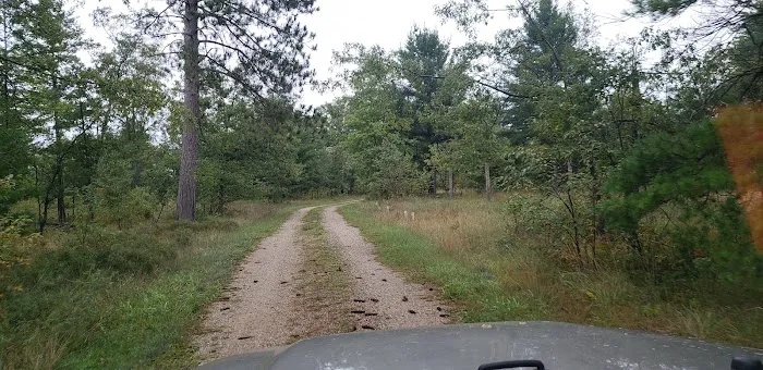 4 Mile State Forest Trail Camp Picture 10